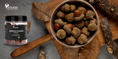 Birch Chaga Truffles by VitalRoot Nutrition: A Delicious Path to Health and Wellness