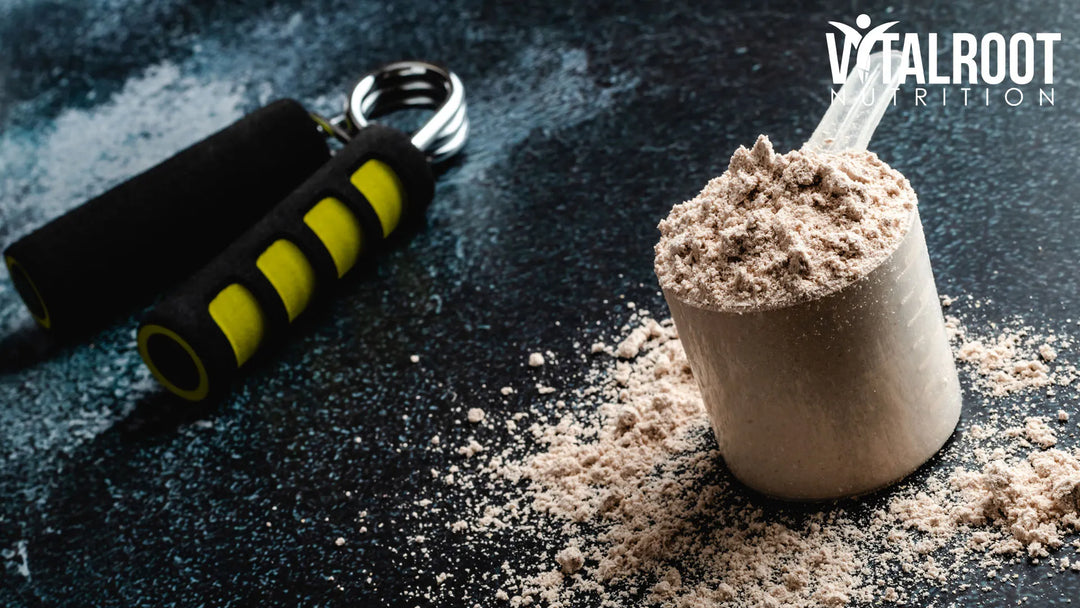 Creatine Monohydrate vs HCL: Which Form Is Actually Better?