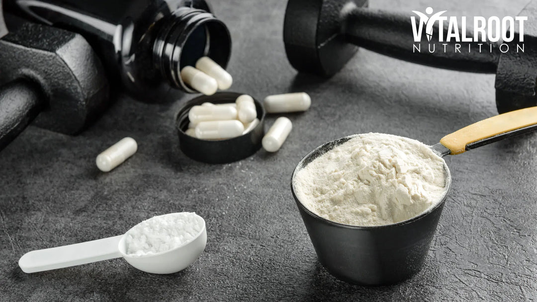 How to Choose the Best Creatine Monohydrate in 2026