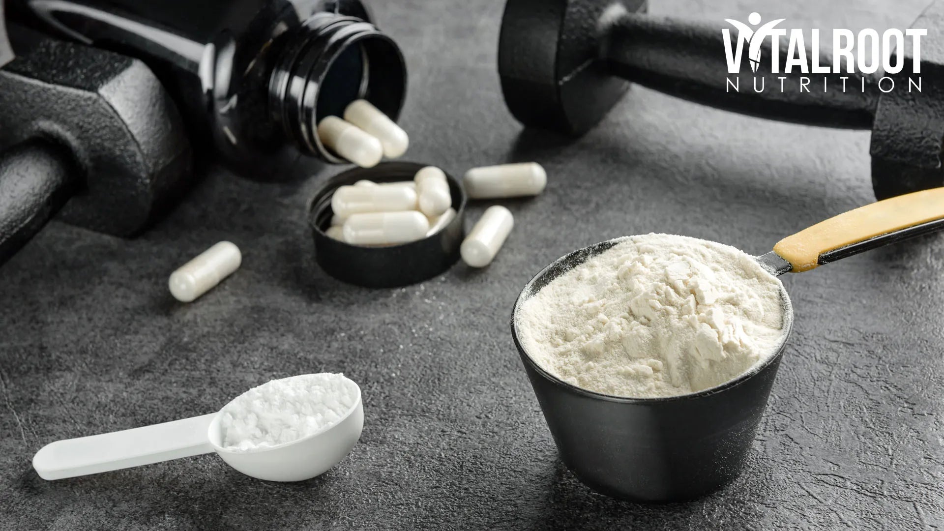 How to Choose the Best Creatine Monohydrate in 2026