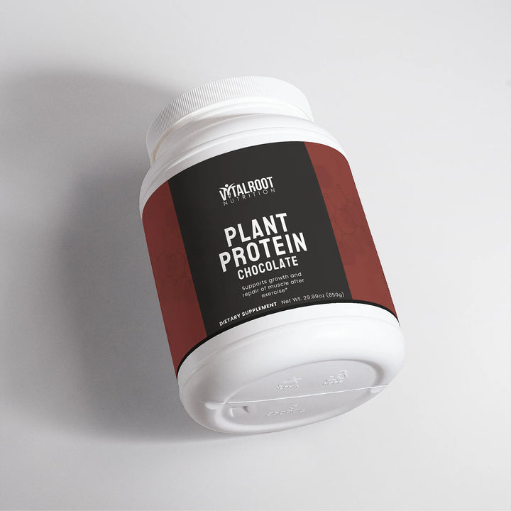 Plant Protein | Chocolate Vegan Blend with MCT & Fiber | (29.99 oz)