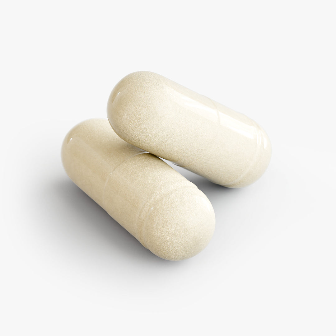 Probiotic 20 Billion | Daily Digestive & Immune Health Support | (30 Capsules)