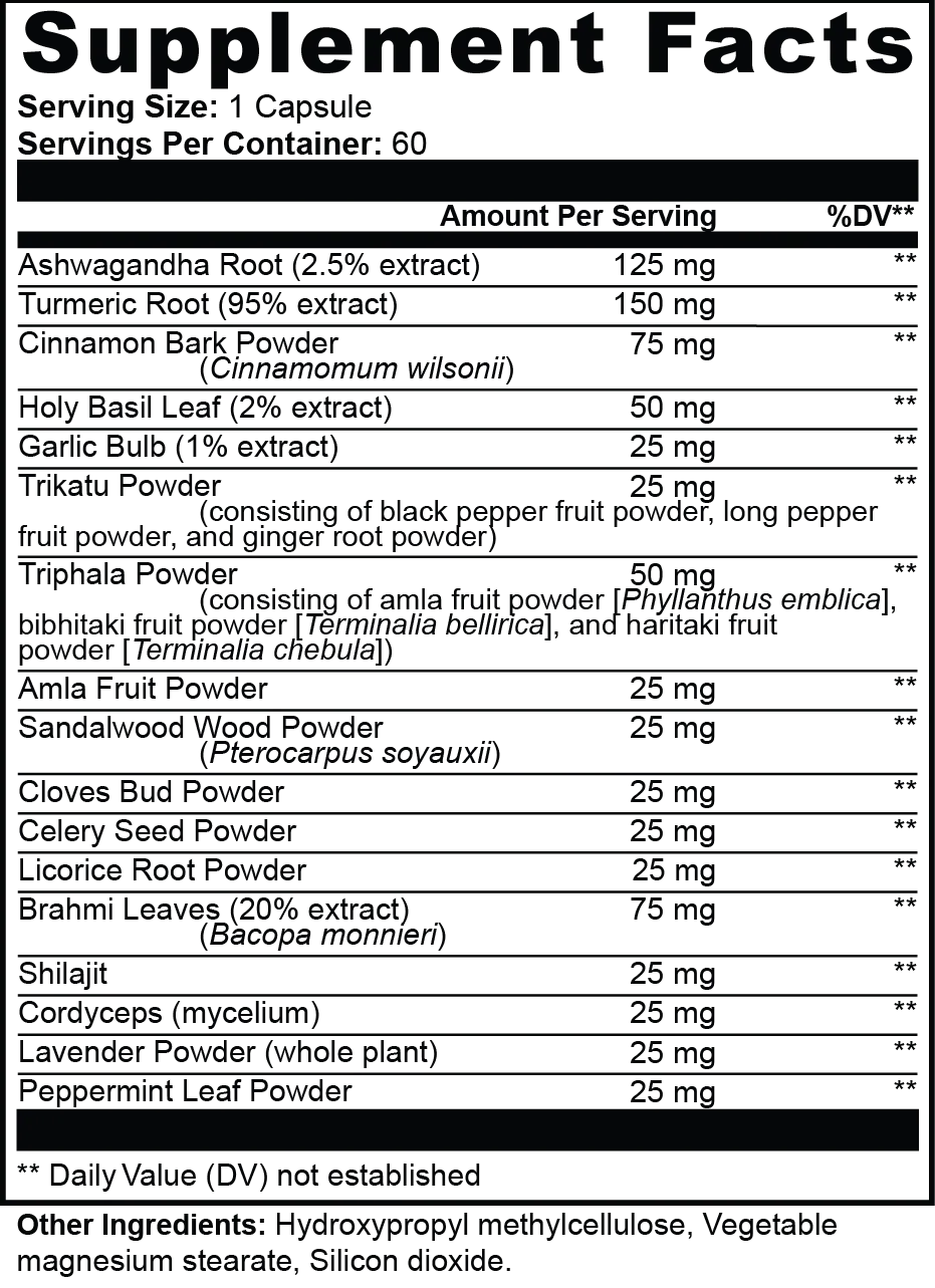 Ayurvedic Complex | Herbal Wellness Blend for Balance & Vitality | 60 Capsules