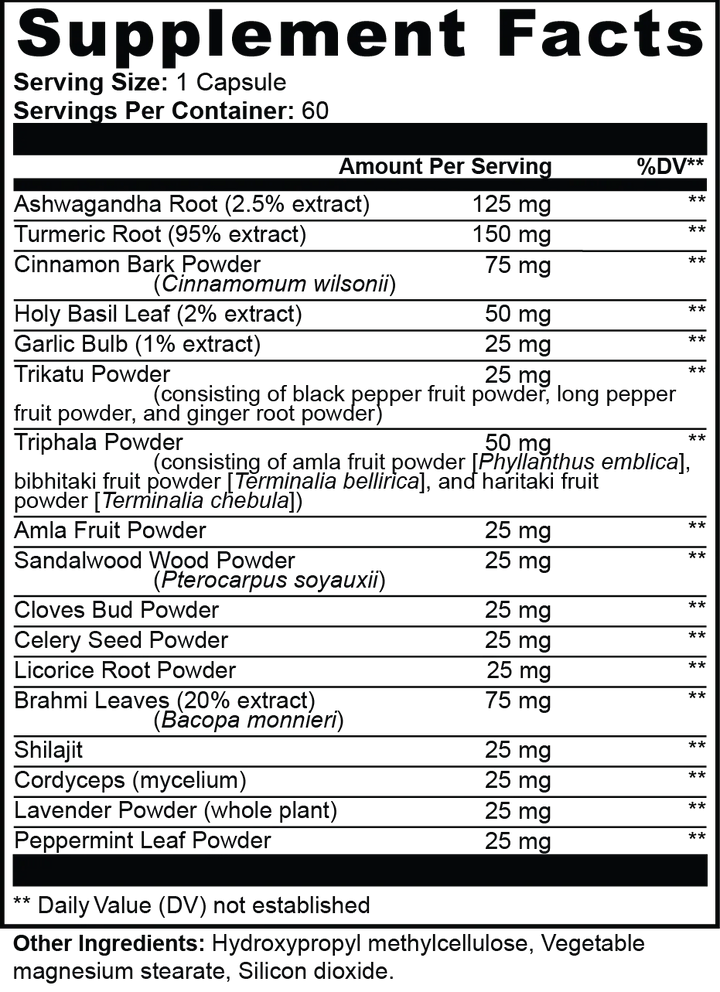 Ayurvedic Complex | Herbal Wellness Blend for Balance & Vitality | 60 Capsules