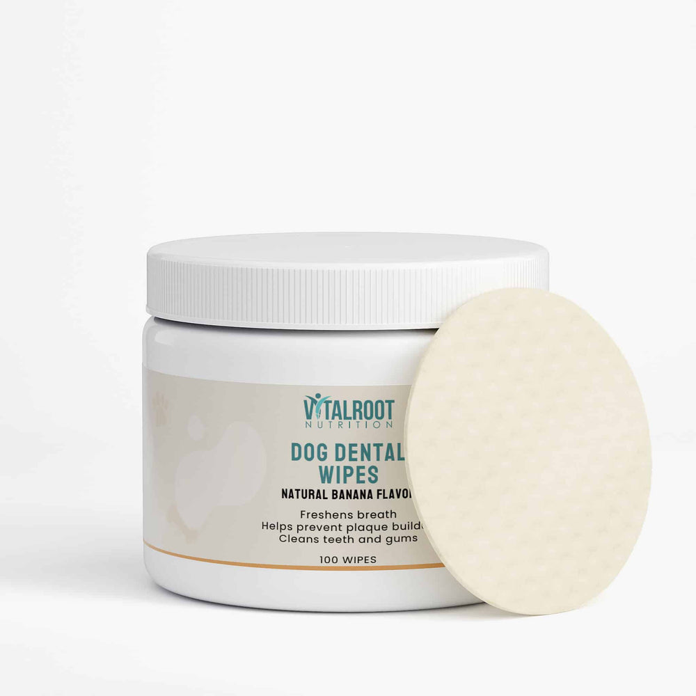 Jar of Vital Root Dog Dental Wipes with a single wipe on a white background