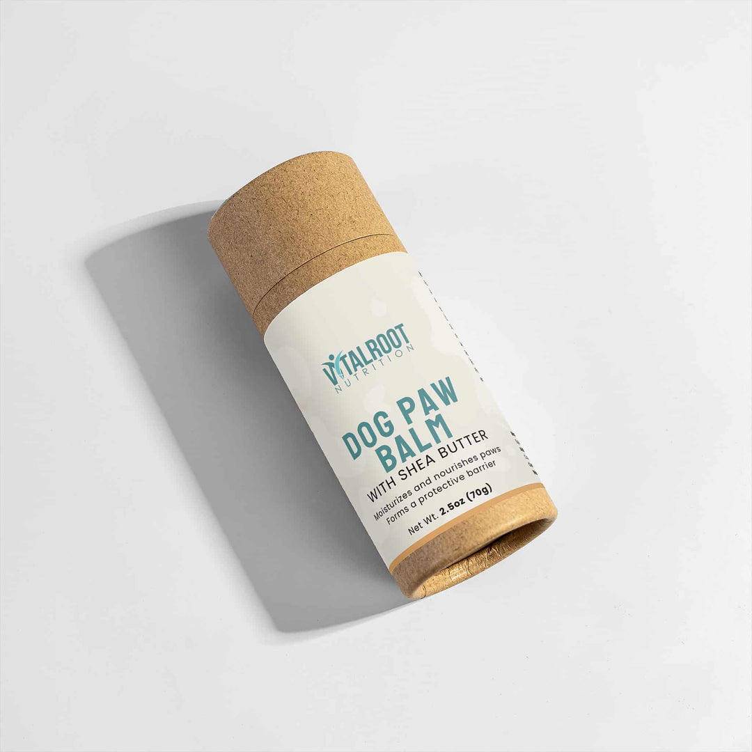 Dog paw balm with cork lid on a light gray background
