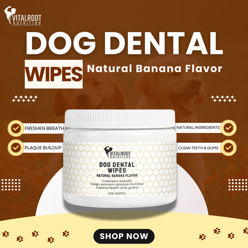 Dog Dental Wipes