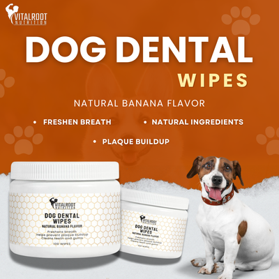 Dog Dental Wipes