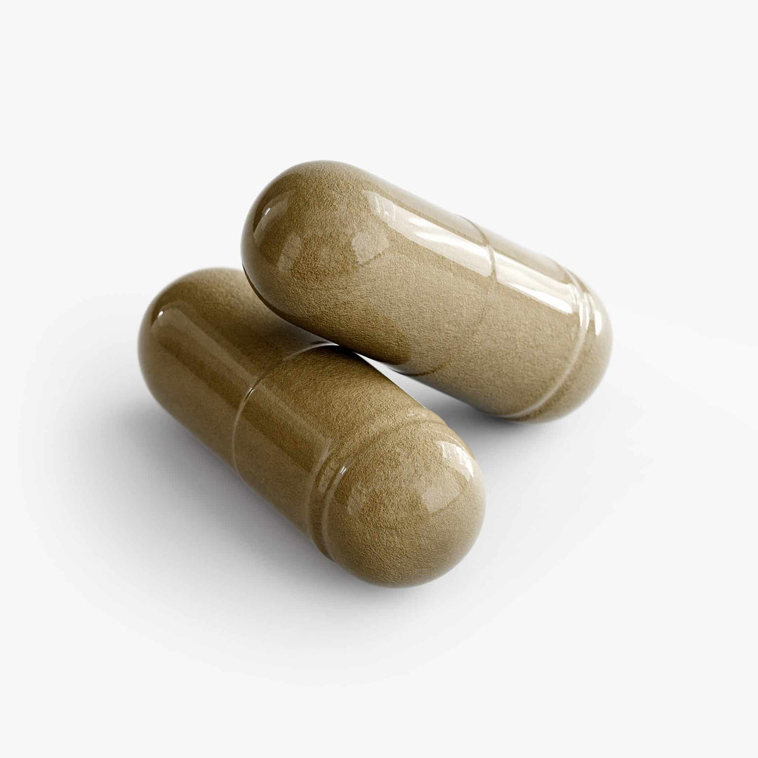Ginkgo Biloba + Ginseng | Cognitive & Mental Clarity Support Supplement | (60 Capsules)
