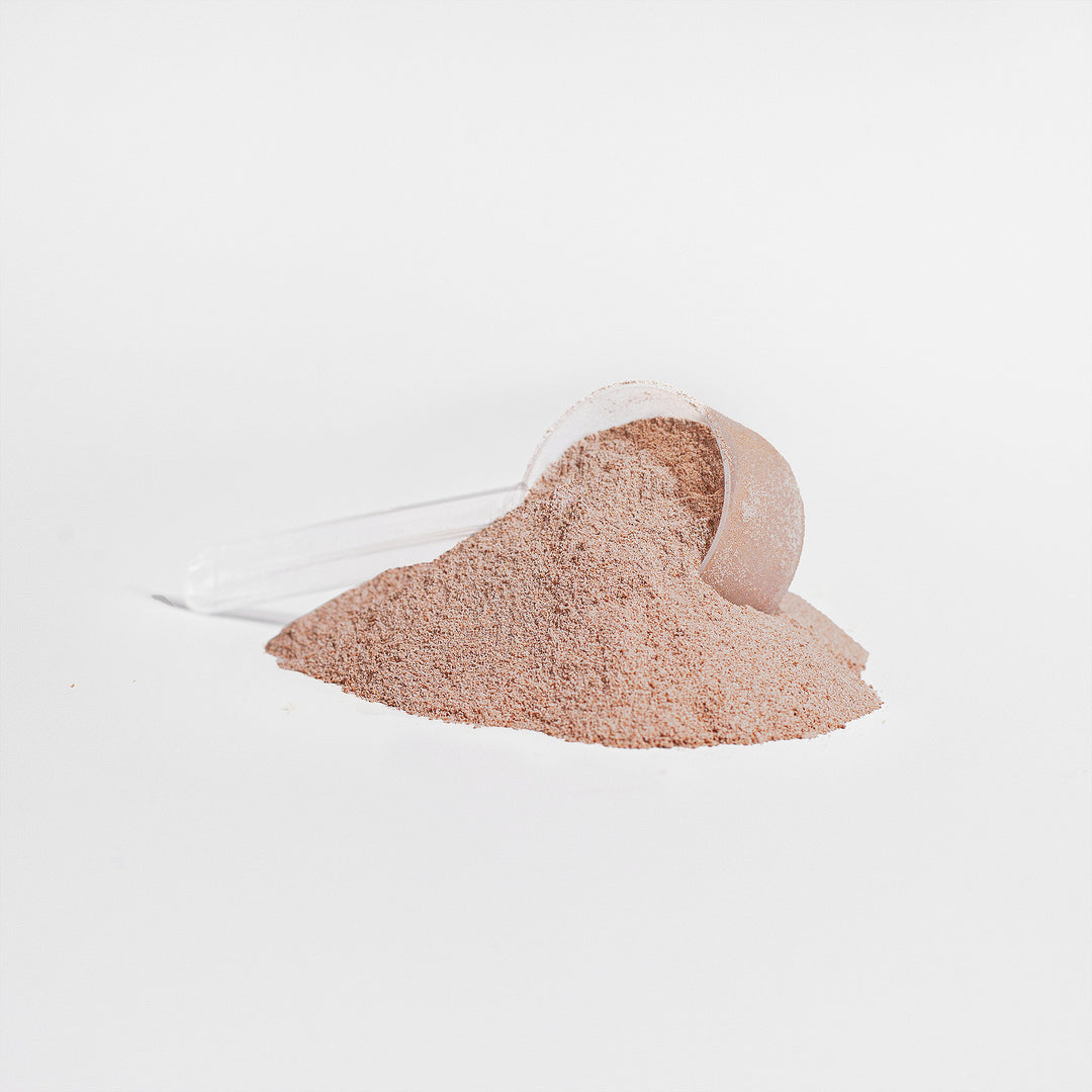Small white bucket filled with sand on a light gray background