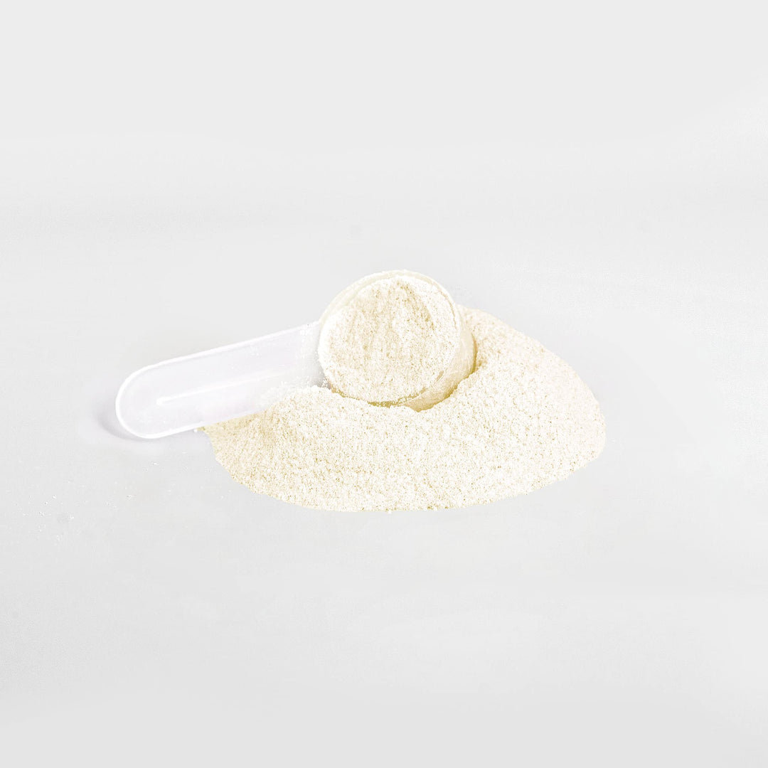 Hydration Powder (Peach Mango) | Electrolyte & Endurance Support Drink | (164g)