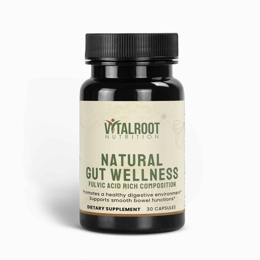 Vitalroot Nutrition Natural Gut Wellness supplement bottle on a white background