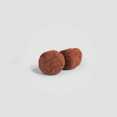 Two Birch Chaga truffles isolated on white background.