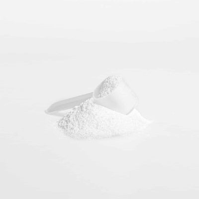 Scoop of Creatine Monohydrate powder with a pile of powder beside it on a white background.