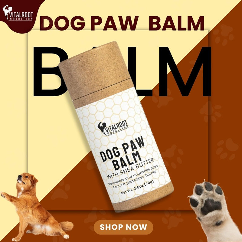 Dog Paw Balm