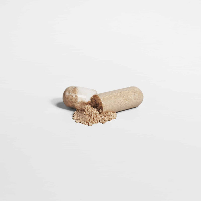 Close up of opened Maca Plus capsule from Vital Roots showing powder for increased energy and vitality